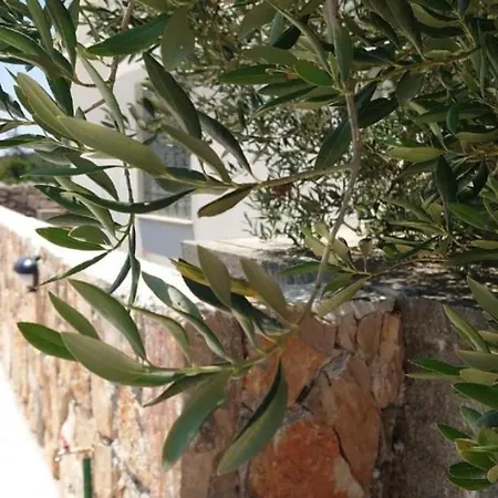 Mediteranski Raj Na Otoku Sestrunju Sestrunj