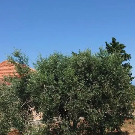 Дом отдыха Mediteranski Raj Na Otoku Sestrunju